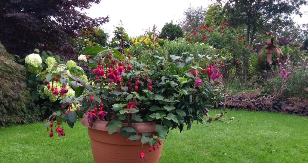 A summer pot